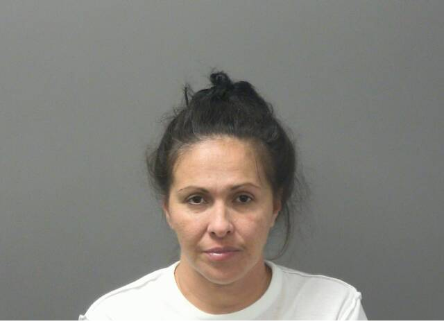 Anny Bendeck-Martinez mugshot