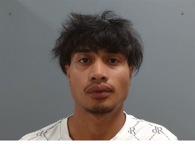 Nicklee Paul mugshot