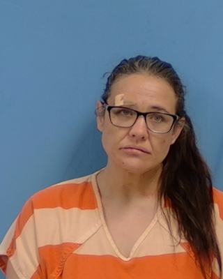 Amanda J Burmingham mugshot