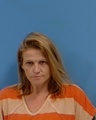 Elizabeth N Willis mugshot