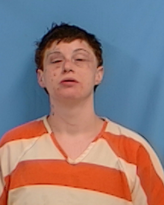 Jamie Nicole Rogers mugshot
