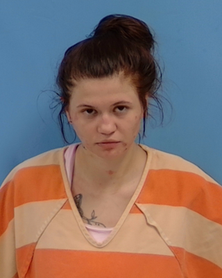Sarah Lindsey Coughlin mugshot