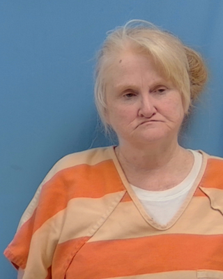 Sherri Foley mugshot