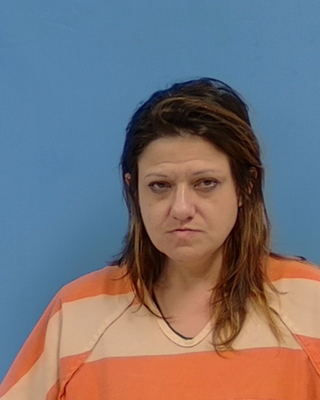 Stephanie Ann Marlin mugshot
