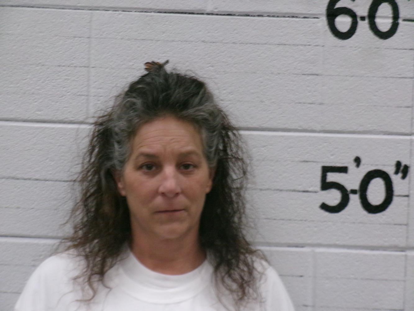 Amanda Paschedag mugshot