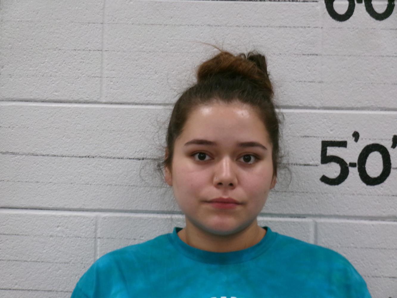 Brittany Elaine Litte Axe mugshot