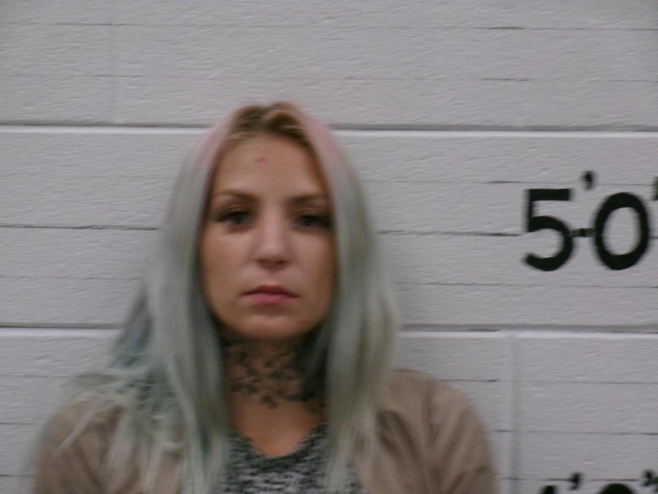 Jessica Lynn Peterson mugshot
