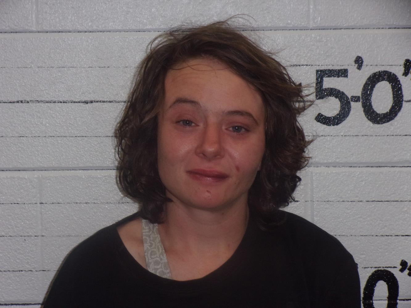 Krista Laann Gordon mugshot