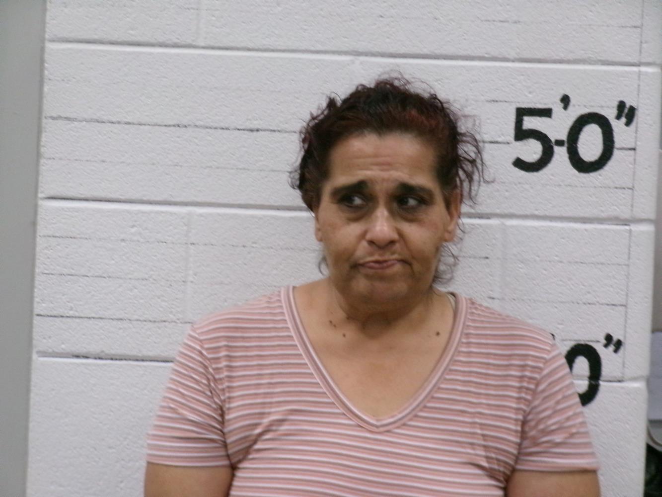 Leticia Denise Quintana mugshot