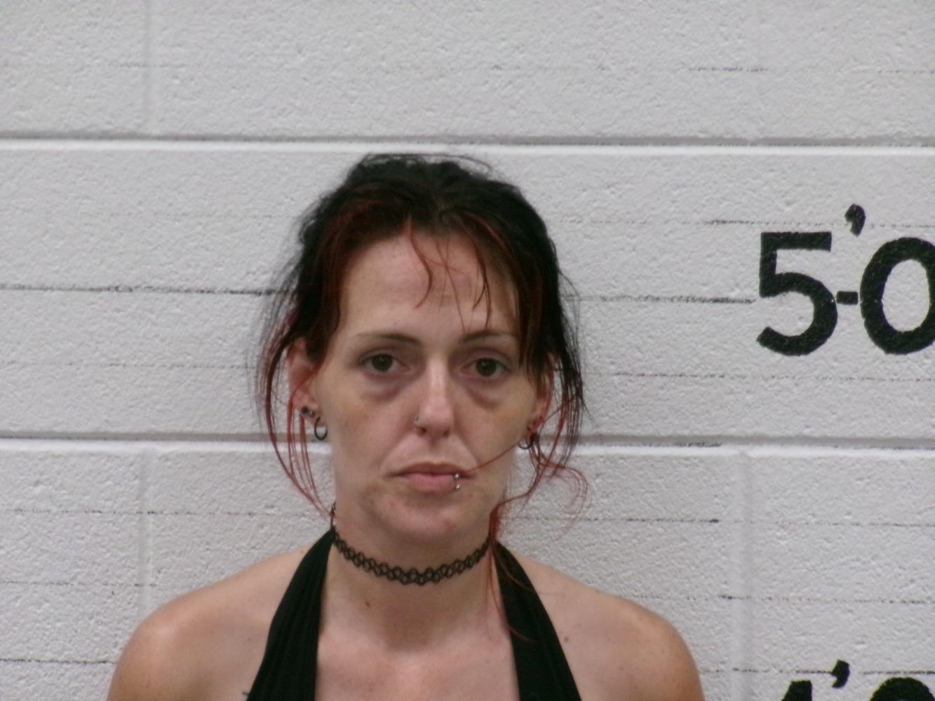Sarah Jane Mckinzie mugshot